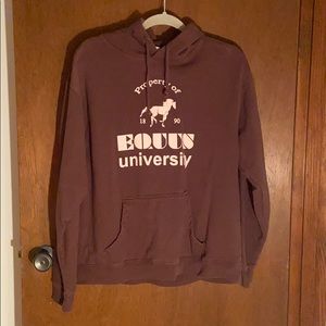 Equus University hoodie